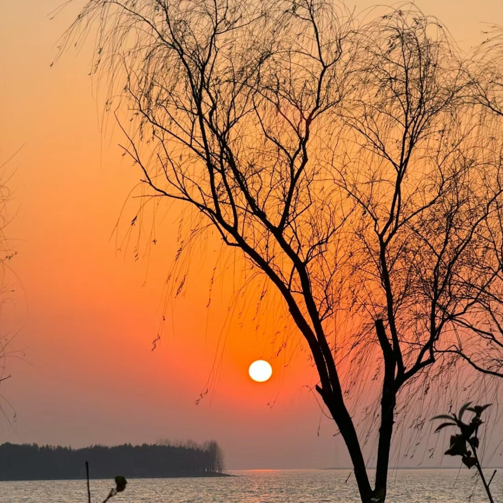 落日余晖背景图