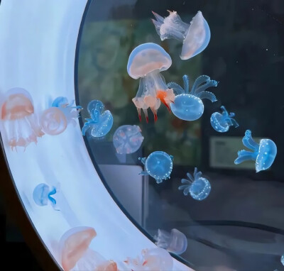 溺水魚