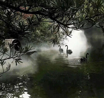 氛围感背景照