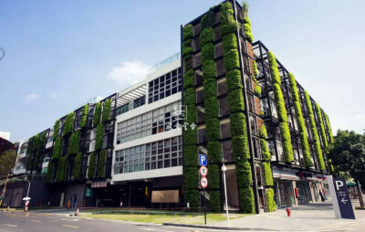 垂直绿化类型中的墙体绿化、牵引绿化、悬挂绿化、立体景观、地产绿化......