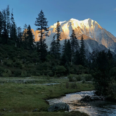 小众高山背景图
图源网络