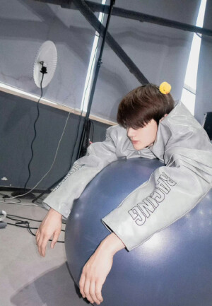 时代峰峻-TF家族