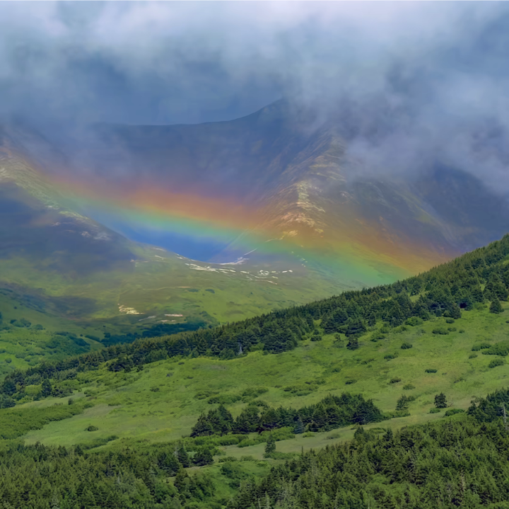 小众高山背景图
图源网络