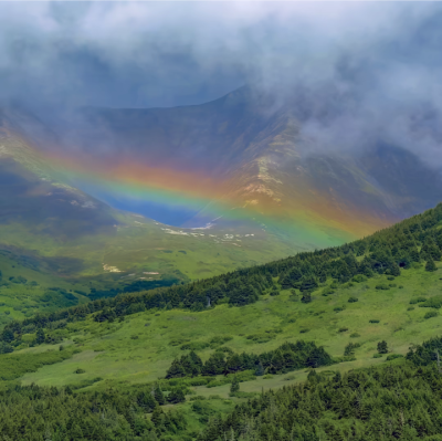 小众高山背景图
图源网络