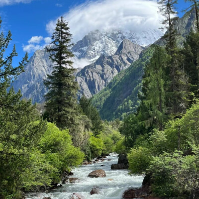 小众高山背景图
图源网络