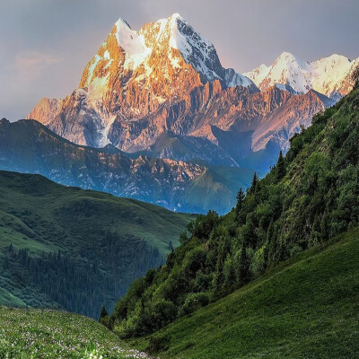 小众高山背景图
图源网络