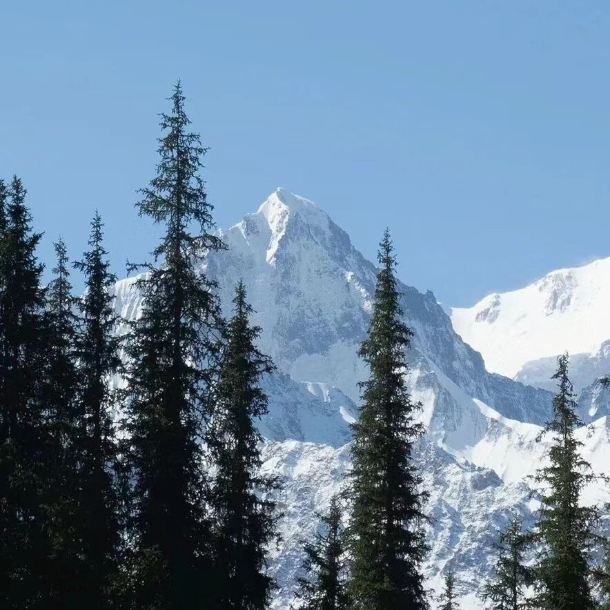 小众高山背景图
图源网络