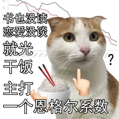 猫猫表情包