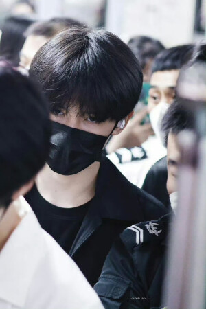 时代峰峻-TF家族