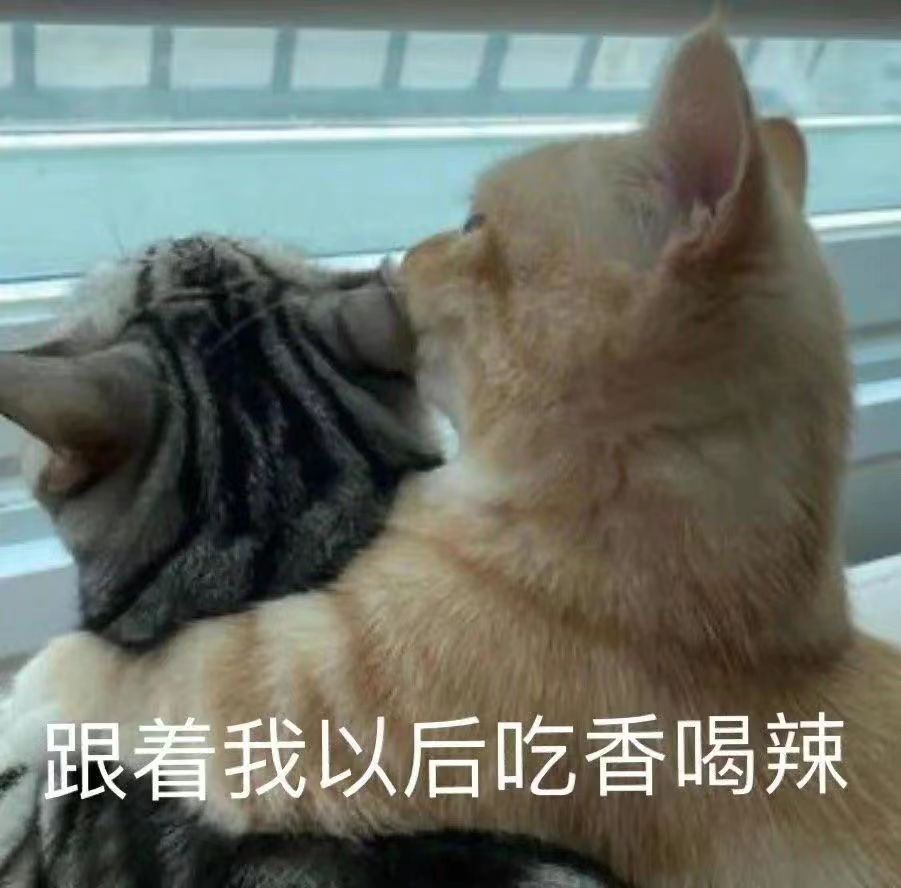 木瓜分享