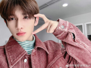 时代峰峻-TF家族