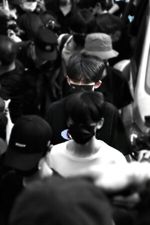 时代峰峻-TF家族