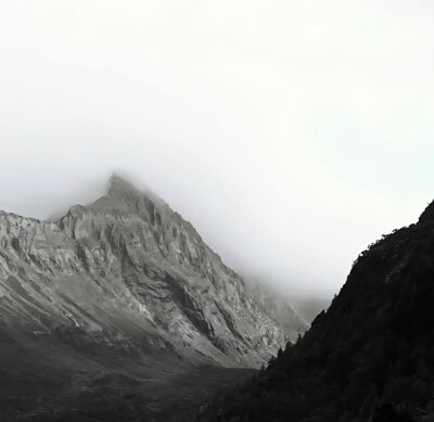 背景
拿图点赞收藏