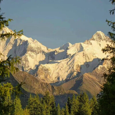 小众高山背景图
图源网络