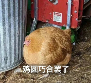 表情包