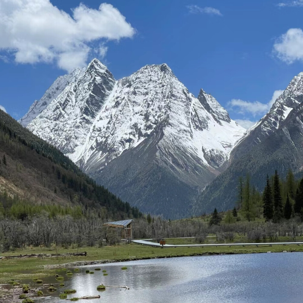 小众高山背景图
图源网络