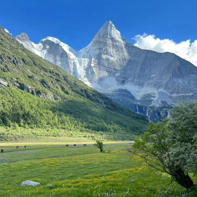 小众高山背景图
图源网络