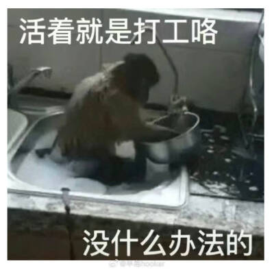 表情包