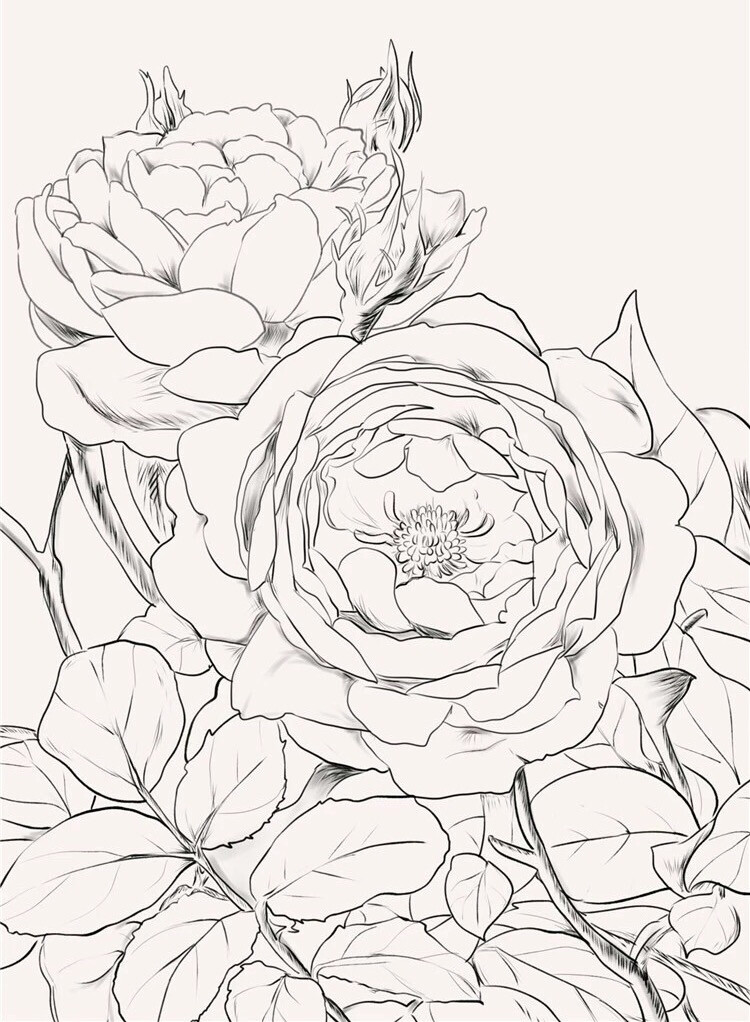 水彩画