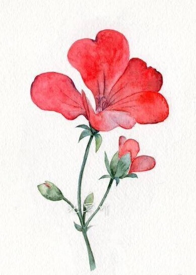 水彩画