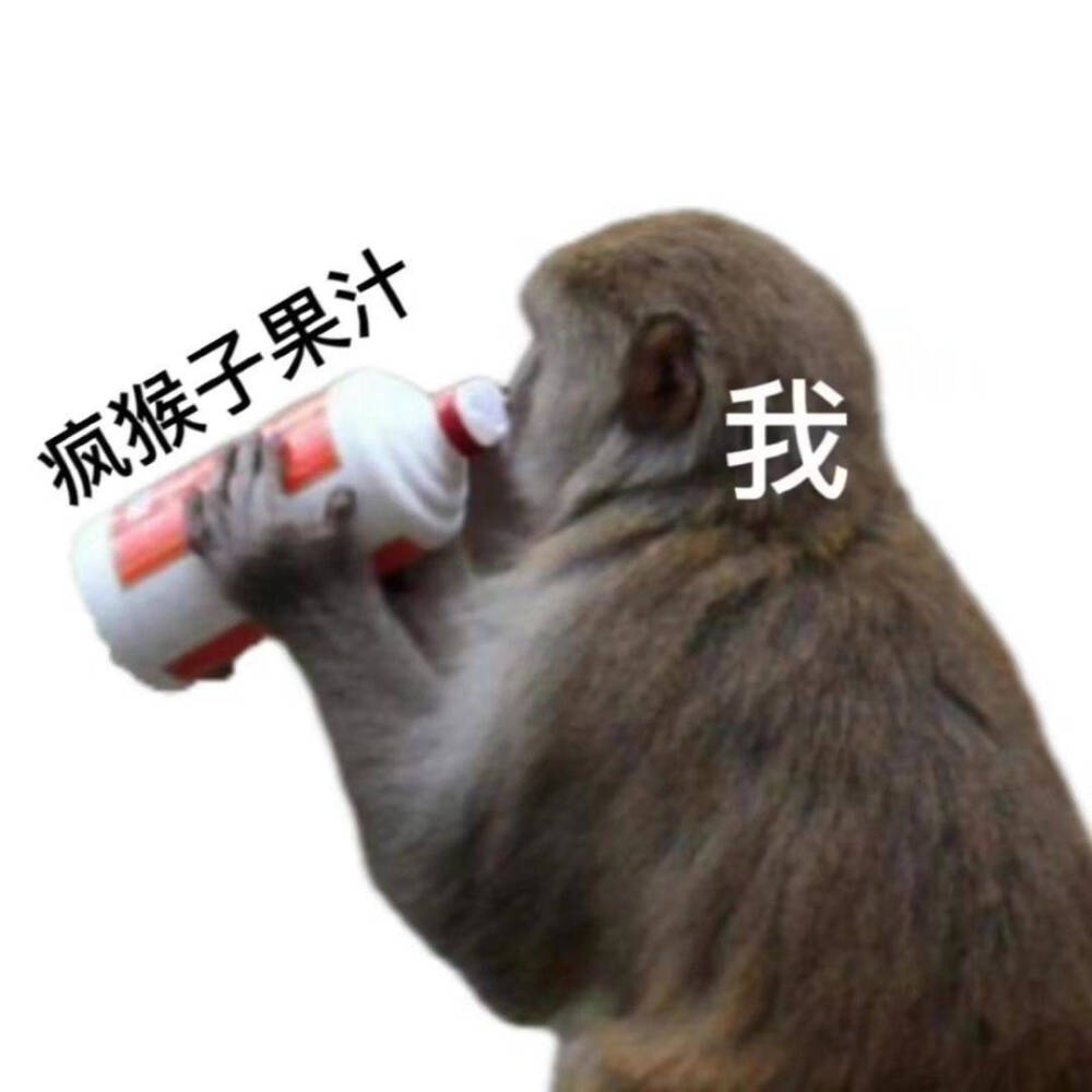 表情包