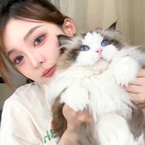 猫咪女头