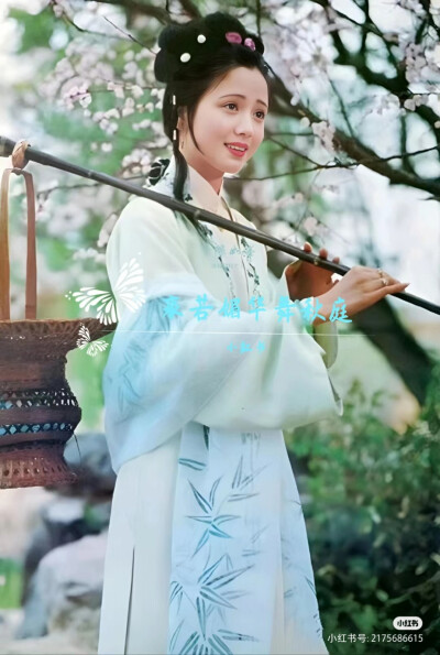 红楼梦