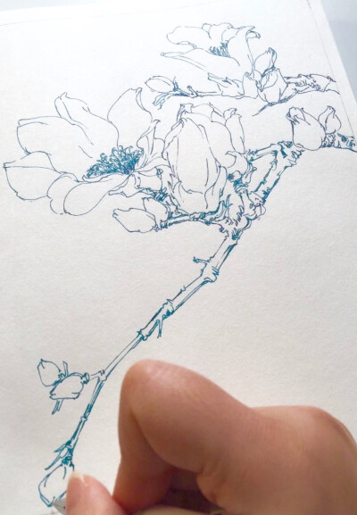 水彩画