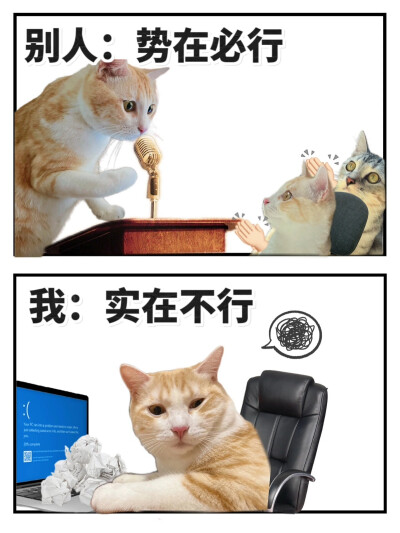 表情包