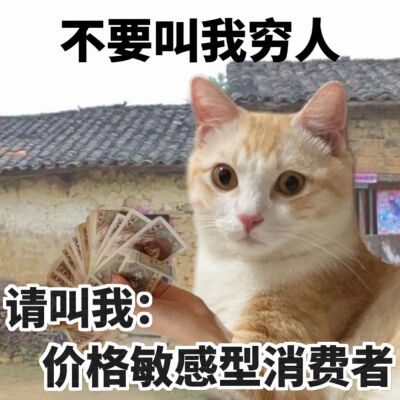 猫猫表情包