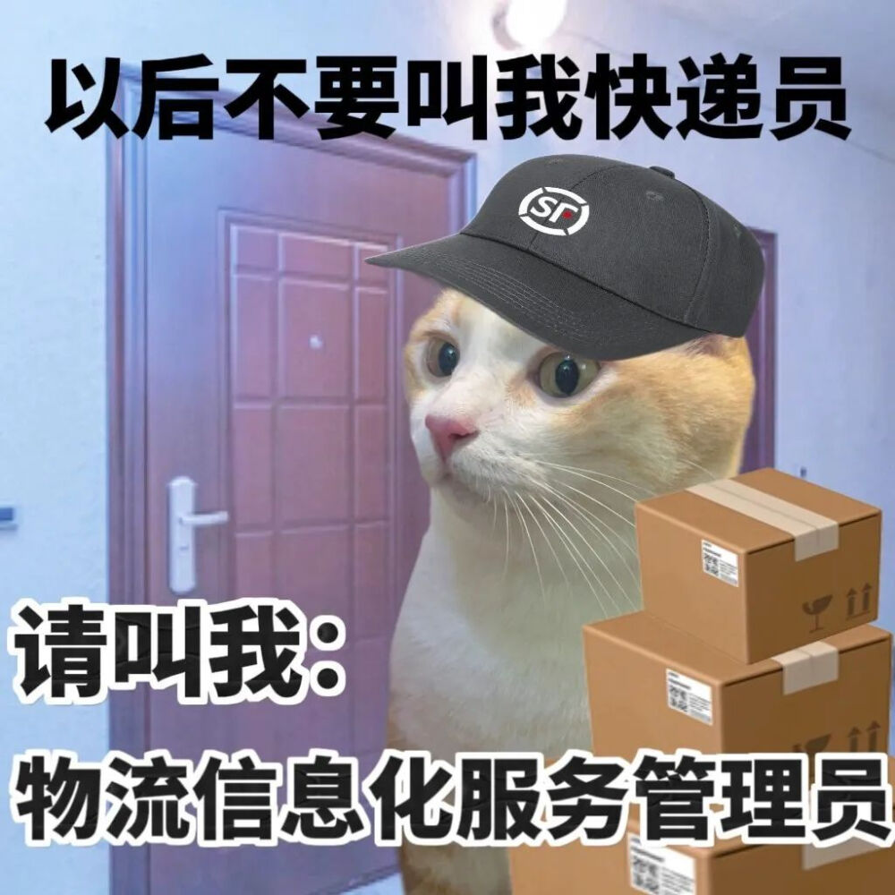 猫猫表情包