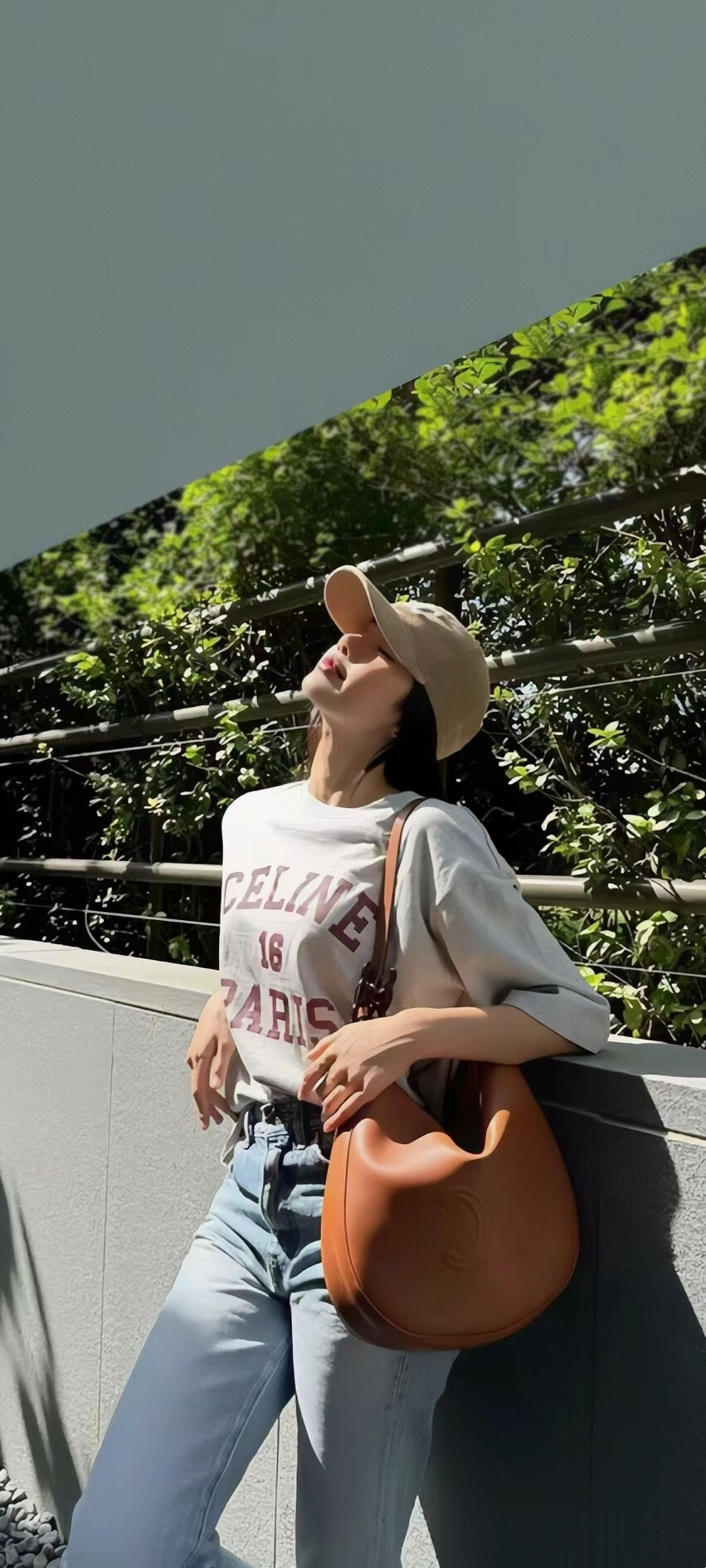 Lisa壁纸