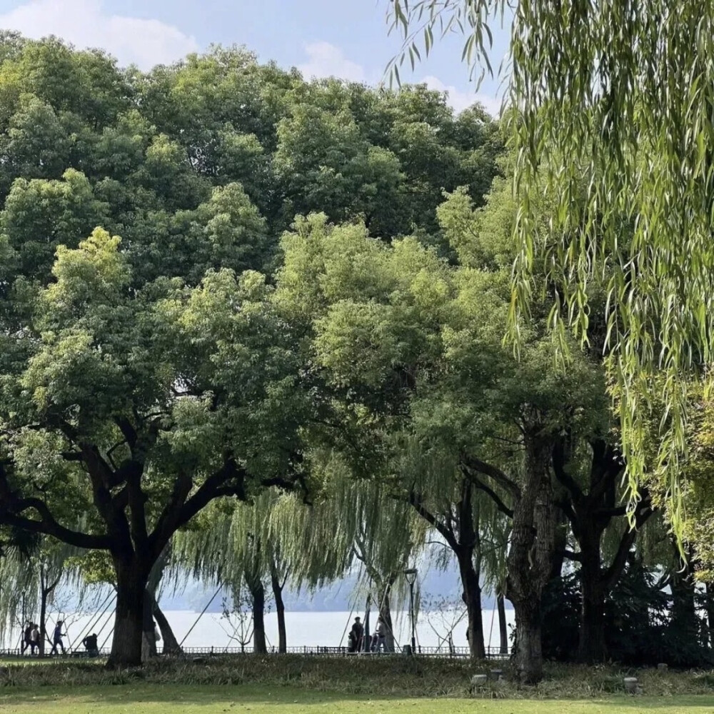 复古 背景 壁纸