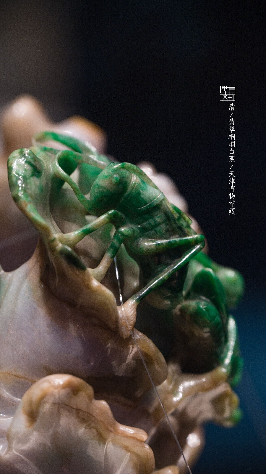 清翡翠蝈蝈白菜