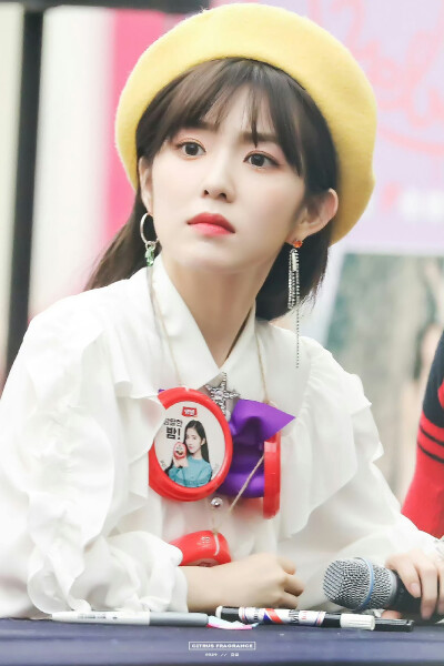 裴珠泫 Irene
