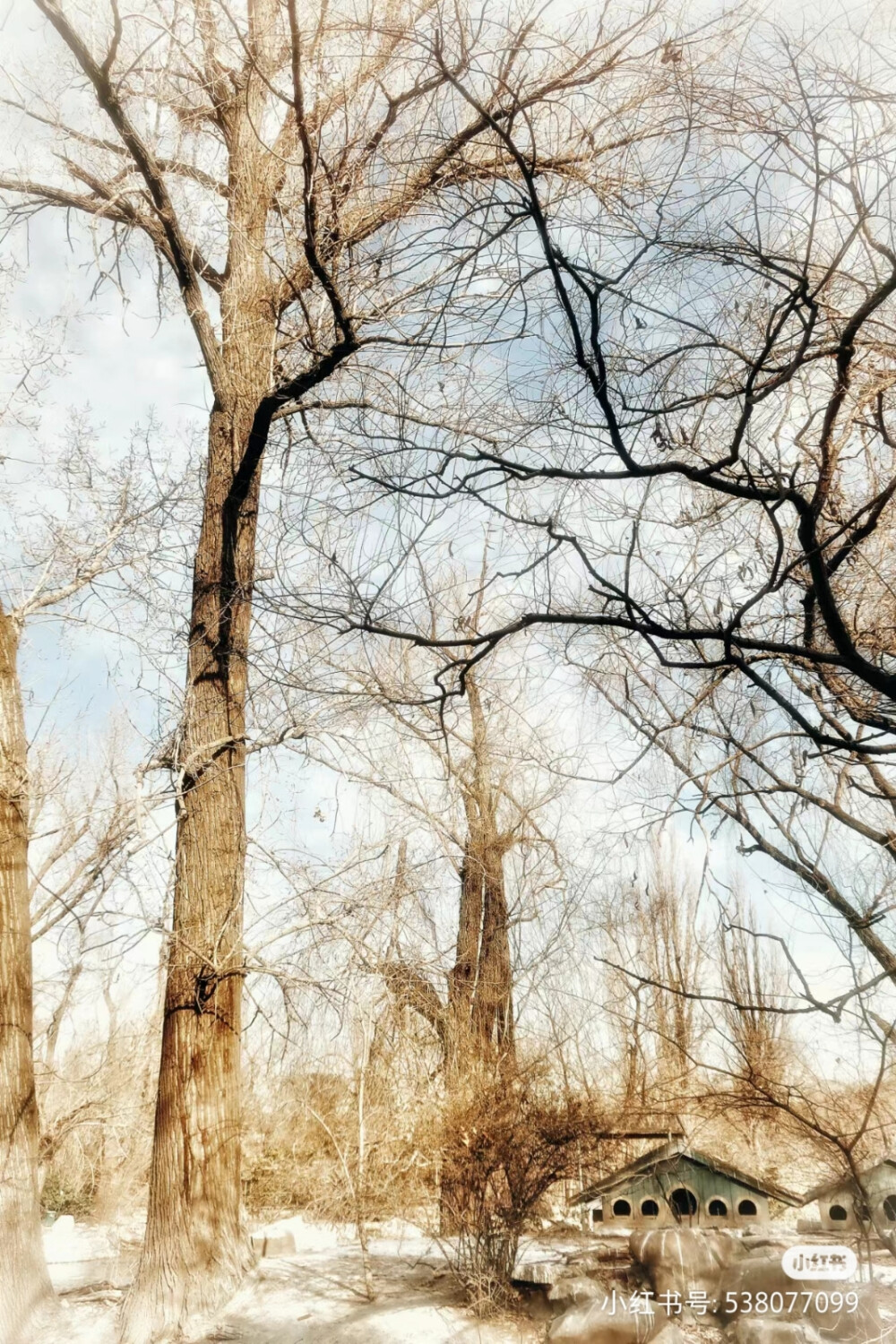 远芳侵古道，晴翠接荒城