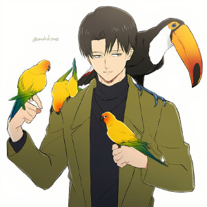 进击的巨人 利威尔兵长 p:20326037