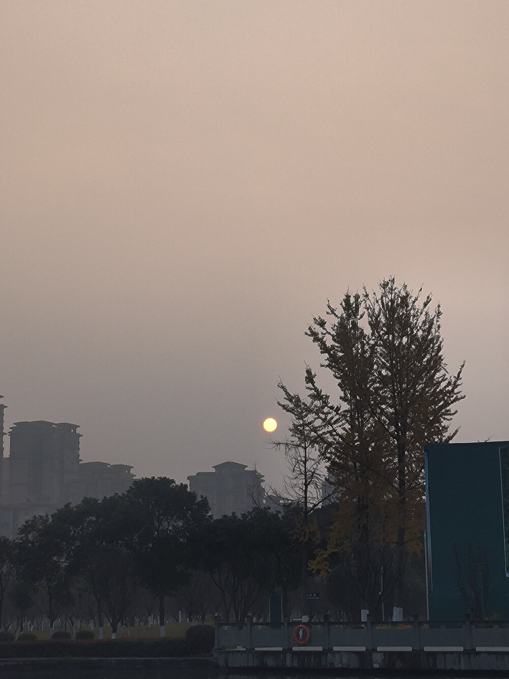 日常碎片打卡成功