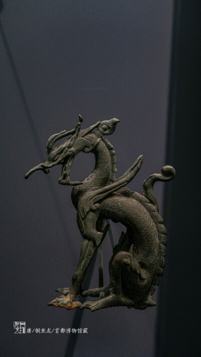 唐·铜坐龙 