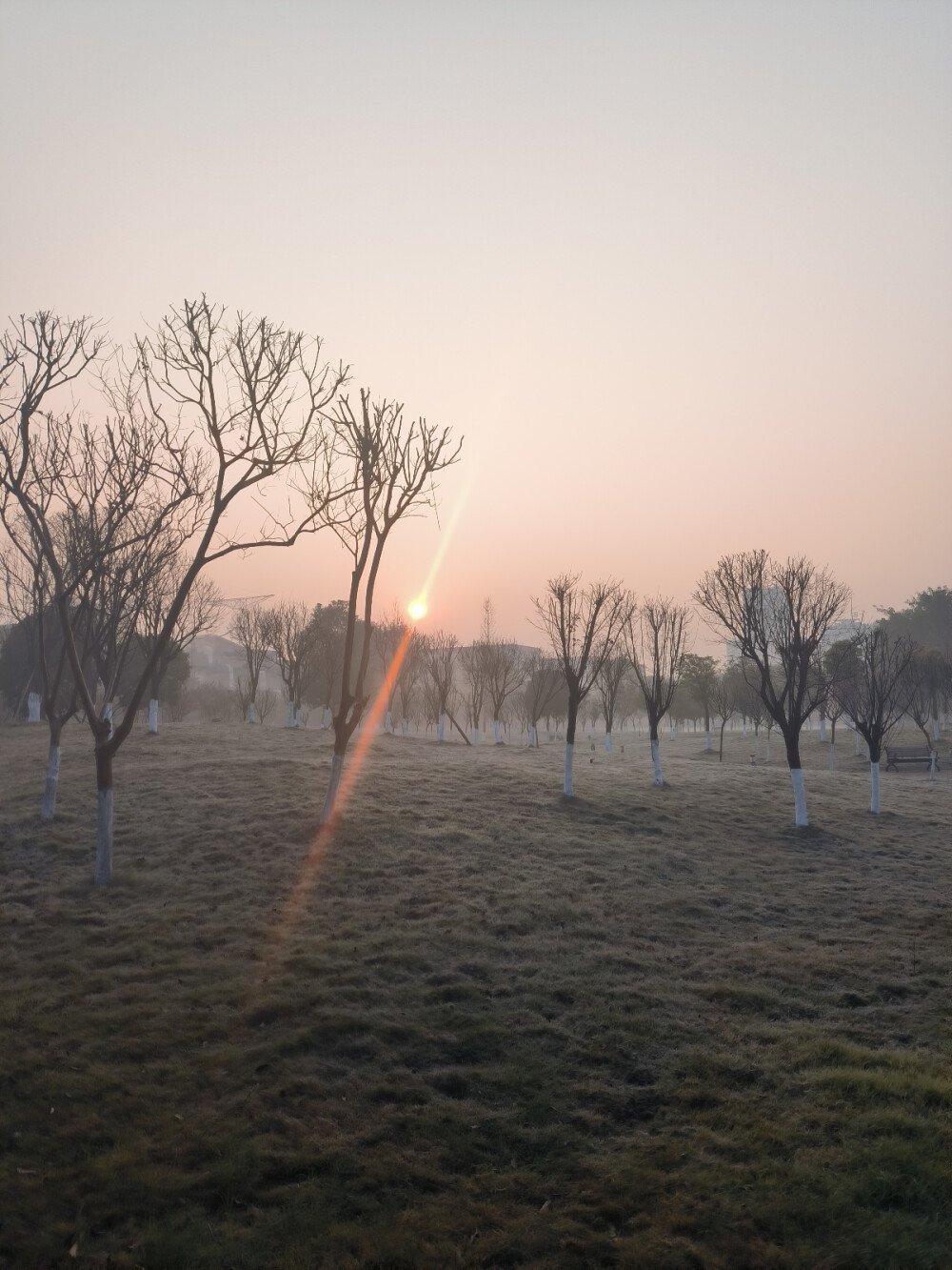 日常碎片打卡成功
