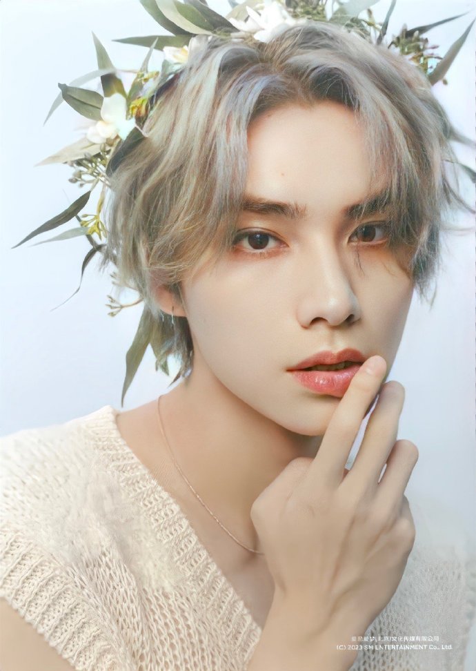 wayv 铁
