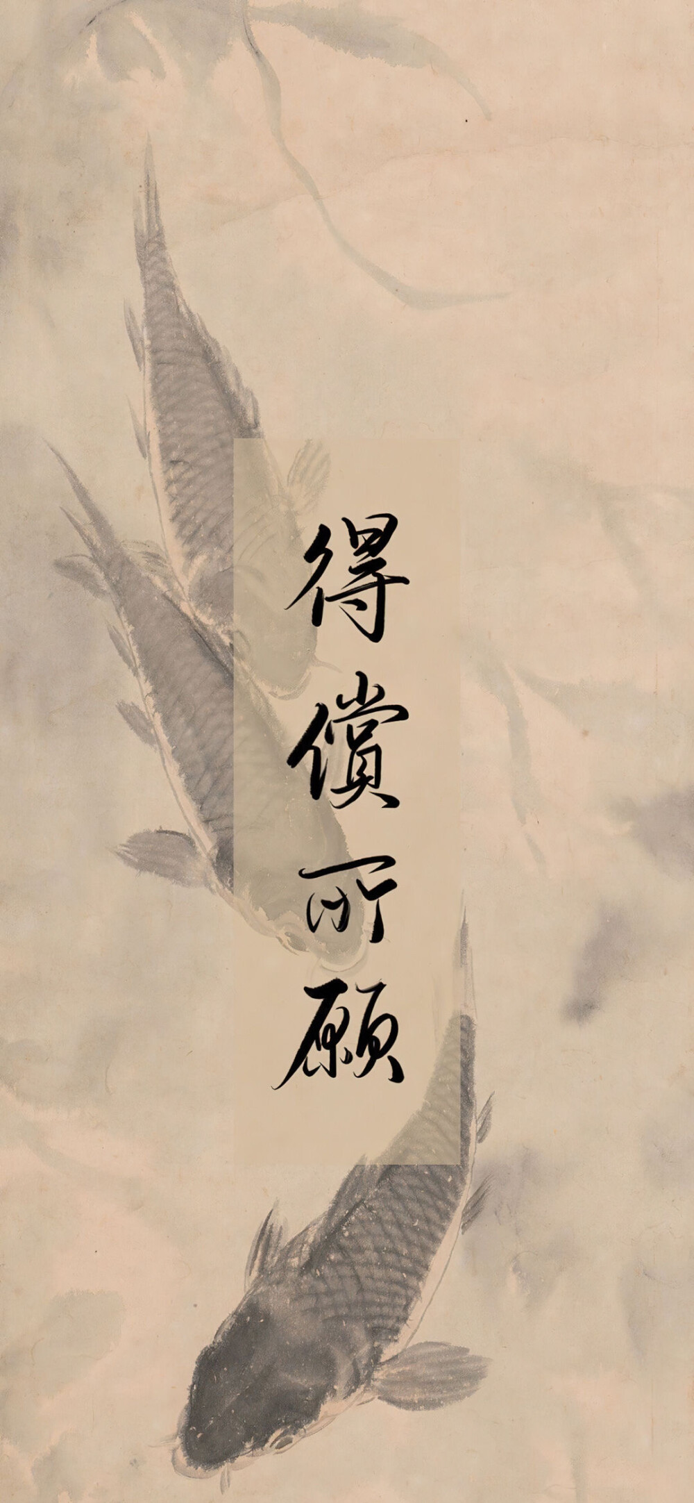得偿所愿