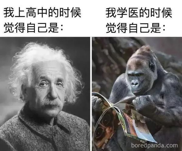 医学生期末表情包