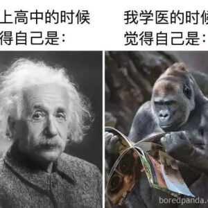 期末来不及了表情包图片