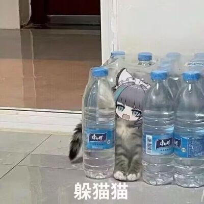 柴郡猫猫表情包