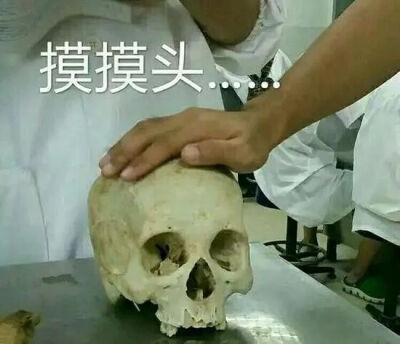 医学生期末表情包