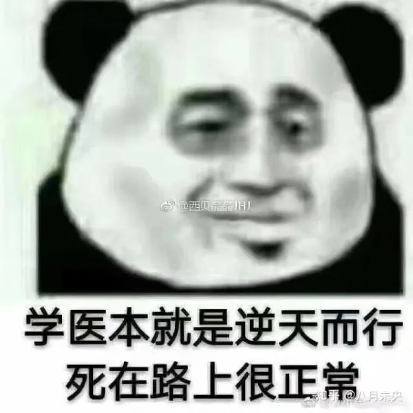 医学生期末表情包