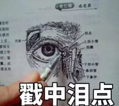 医学生期末表情包