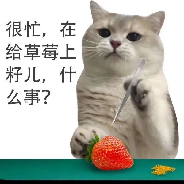 侵权删