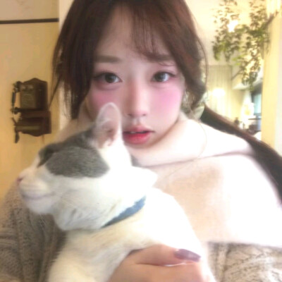 猫咪女头₍ᐢ..ᐢ₎♡ʚ◡̈⃝ɞ₍ᐢ •͈ ༝ •͈ ᐢ₎♡